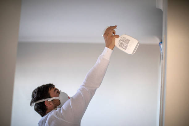 Best Home Mold Removal  in Twentynine Palms, CA
