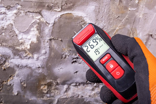 Best Emergency Mold Removal  in Twentynine Palms, CA