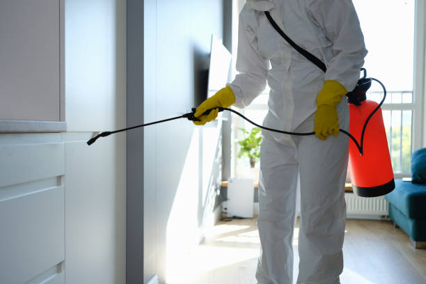 Best Crawl Space Mold Removal  in Twentynine Palms, CA